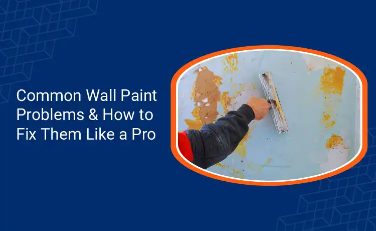 Common Wall Paint Problems How to Fix Them Like a Pro